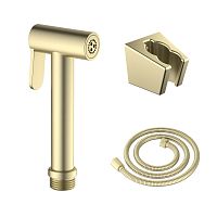 Набор для гигиенического душа Aquatek  AQ2054BG