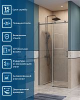 Душевая дверь в нишу BelBagno SOFT CLOSE-2 SOFT_CLOSE-2-BF-1-110-C-GM