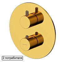 Смеситель термостатический для душа Whitecross Y Y1236GL