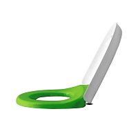 Крышка-сиденье Laufen 8.9103.1.072.000.1 Florakids для унитаза, белый,зеленый Крышка-сиденье Laufen 8.9103.1.072.000.1 Florakids для унитаза, белый,зеленый