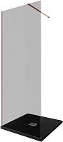 Душевая перегородка Allen Brau INFINITY 3.21006.60.T Душевая перегородка Allen Brau INFINITY 3.21006.60.T