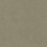 Неглазурованный керамогранит LEONARDO 1502 CODE CdBronze60 Неглазурованный керамогранит LEONARDO 1502 CODE CdBronze60