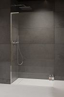 Душевая перегородка Walk-In Radaway Modo SL 10319054-01-01R