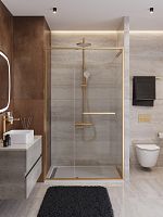 Душевая дверь в нишу Cezares LUX LUX-B-FS-11-120-C-BORO