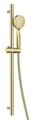 Душевой комплект Deante NQA_R51K Arnika, брашированное золото Душевой комплект Deante NQA_R51K Arnika, брашированное золото