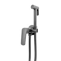 Смеситель с гигиеническим душем Aquatek Вега AQ1019BGM