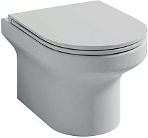 Унитаз подвесной Jacob Delafon Elite EDX114RU-00 (exp)