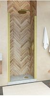 Душевая дверь в нишу Vegas Glass Vegas VegasGlass ЕР NOVO 65 03 01