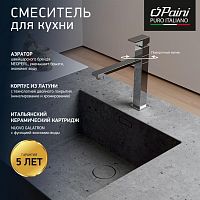 Смеситель для кухни Paini DAX-DAXR 84CR579RSKM
