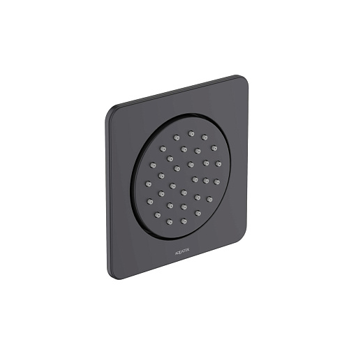 Душевая форсунка Aquatek  AQ2099MB