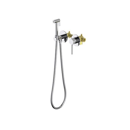 Комплект Aquatek AQ1319CR Европа для гигиенического душа встроенный 2 отв., хром