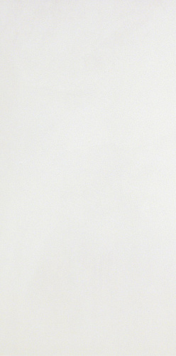 Керамическая плитка AtlasConcorde DWELL DwellIce40x80 купить недорого в интернет-магазине Керамос