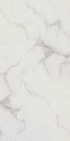 Глазурованный керамогранит Imola Ceramica Maxima5 Carrara525S 25x50