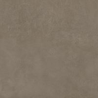 Неглазурованный керамогранит IMOLA CERAMICA RETINA RtnMouss120Rm