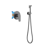 Смеситель с гигиеническим душем Aquatek БЕТТА AQ1119BGM