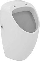 Писсуар Ideal Standard E567601 Connect Home подвесной 30х53.5 см, для монтажа с крышкой, Euro White (евробелый) Писсуар Ideal Standard E567601 Connect Home подвесной 30х53.5 см, для монтажа с крышкой, Euro White (евробелый)