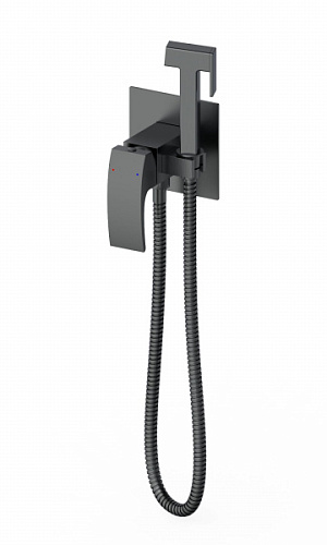 Смеситель с гигиеническим душем Wonzon & Woghand  WW-88829009-BGM Смеситель с гигиеническим душем Wonzon & Woghand  WW-88829009-BGM