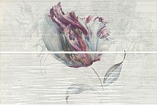 Декоративный элемент Ape Funny DecorSet(2)ShalomTurquesa 20x60