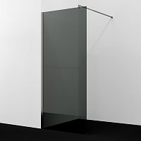 Душевая перегородка WasserKRAFT Rur 30W 30W39GR-TG