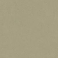 Неглазурованный керамогранит LEONARDO 1502 CODE CdArgil120 Неглазурованный керамогранит LEONARDO 1502 CODE CdArgil120