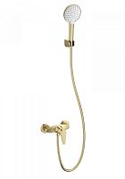 Смеситель для душа Wonzon & Woghand  WW-AE3102-BG Смеситель для душа Wonzon & Woghand  WW-AE3102-BG