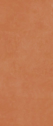 Керамогранит Imola Ceramica Retina Rtn6Aranc278Rm 120х278 купить недорого в интернет-магазине Керамос