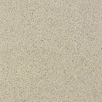 Неглазурованный керамогранит AtlasConcorde GRANIGLIATI Luserna20x20Matt