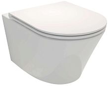 Унитаз подвесной, без ободка Jacob Delafon Rodin+ EDY102-00 (exp) Унитаз подвесной, без ободка Jacob Delafon Rodin+ EDY102-00 (exp)
