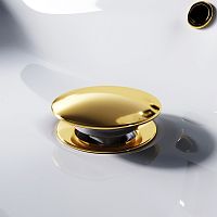 Донный клапан AM.PM  F0700P99