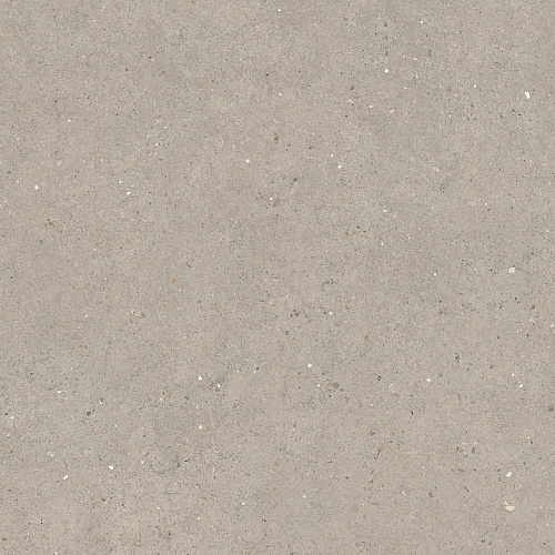 Неглазурованный керамогранит LA FAENZA SUITE STONE Argent690 купить недорого в интернет-магазине Керамос