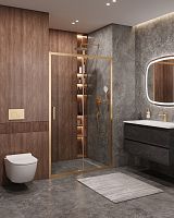 Душевая дверь в нишу Cezares MOLVENO MOLVENO-BF-1-120-C-BORO-IV