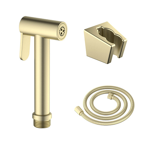 Набор для гигиенического душа Aquatek  AQ2054BG