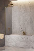 Шторка на ванну Radaway  10316080-09-01L