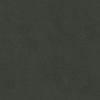 Неглазурованный керамогранит LEONARDO 1502 CODE CdCoke60 Неглазурованный керамогранит LEONARDO 1502 CODE CdCoke60