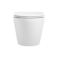 Унитаз OLIVEEKA  OL-6016