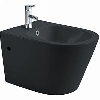 Биде подвесное Aquatek AQ1057-MB Вега 53х36 см, черное