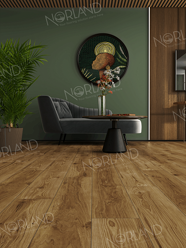 Ламинат Norland ЭЛЕГАНТНАЯ СИЛА ELEGANT STRONG LF302-18 Ламинат Norland ЭЛЕГАНТНАЯ СИЛА ELEGANT STRONG LF302-18