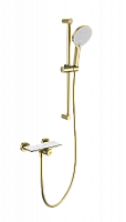 Смеситель для душа Wonzon & Woghand  WW-B2052-A-BG Смеситель для душа Wonzon & Woghand  WW-B2052-A-BG
