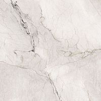 Глазурованный керамогранит LA FAENZA AESTHETICA AeCam6120Lp