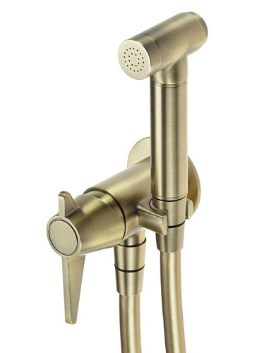 Смеситель для биде DEANTE TEMISTO BQT_M34M Смеситель для биде DEANTE TEMISTO BQT_M34M