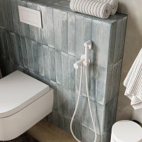 Комплект гигиенического душа WasserKRAFT  A70538 Комплект гигиенического душа WasserKRAFT  A70538
