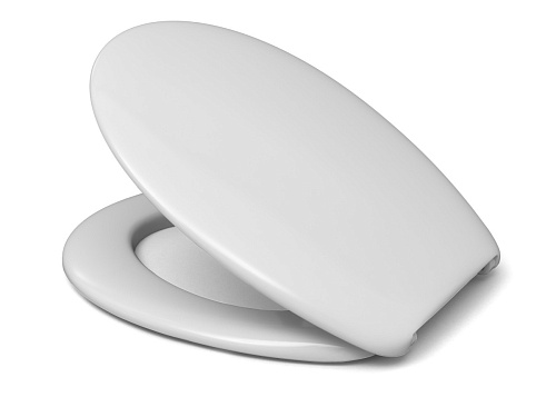 Сиденье с крышкой для унитаза Roca Victoria Z0000801390004 купить недорого в интернет-магазине Керамос Сиденье с крышкой для унитаза Roca Victoria Z0000801390004 купить недорого в интернет-магазине Керамос