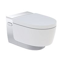 Унитаз-биде подвесной Geberit  Муляж 146.214.21.1 Унитаз-биде подвесной (White-Chrome)