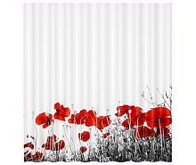 WasserKRAFT Main SC-47101 Шторка для ванной