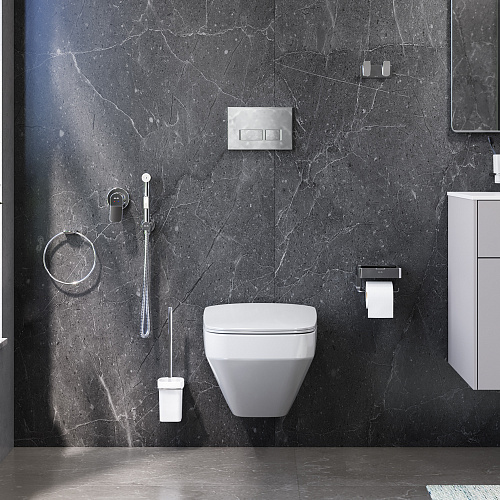 Комплект AM.PM CK50GD Inspire 2.0, для ванной комнаты (зона туалета), белый/хром снят с производства