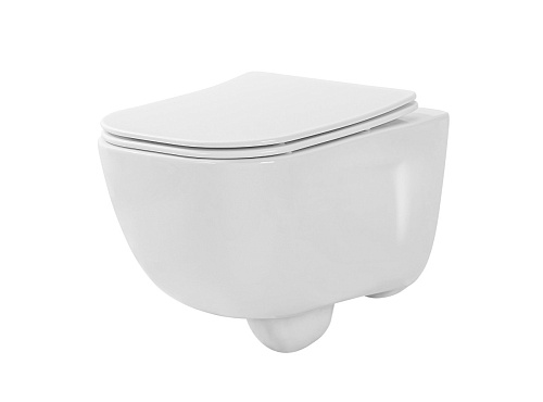 Унитаз подвесной, с функцией биде Aquatek Дива AQ2012B-00 Унитаз подвесной, с функцией биде Aquatek Дива AQ2012B-00