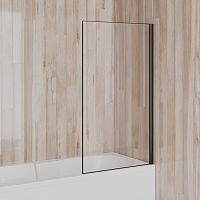 Шторка на ванну Paini Paini-ScreenWT70C неподвижная 70 см, стекло прозрачное/профиль черный