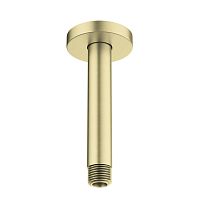 Держатель верхнего душа Aquatek  AQ2171BG