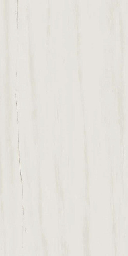 Неглазурованный керамогранит AtlasConcorde MARVELSTONE MarvelBiancoDolomite45x90Lappato купить недорого в интернет-магазине Керамос Неглазурованный керамогранит AtlasConcorde MARVELSTONE MarvelBiancoDolomite45x90Lappato купить недорого в интернет-магазине Керамос