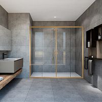 Душевая дверь Vincea Garda VDS-1G2170CLG